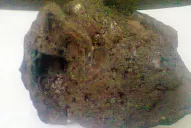 Hallaron un meteorito en Santiago del Estero