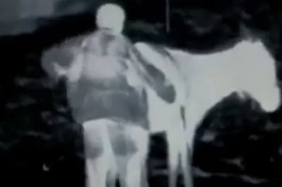 Filman curioso video de un hombre y su mula