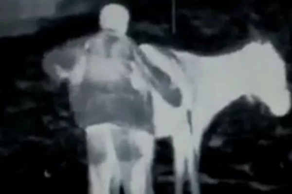 Filman curioso video de un hombre y su mula