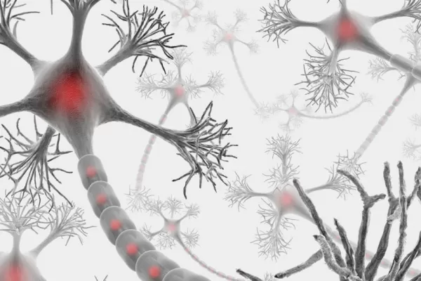 Informarán y capacitarán sobre esclerosis mútiple