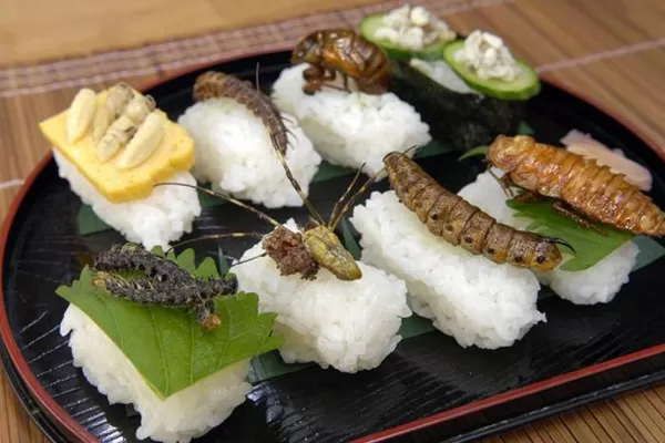 ¿Te animás a probar insectos? Son la comida del futuro