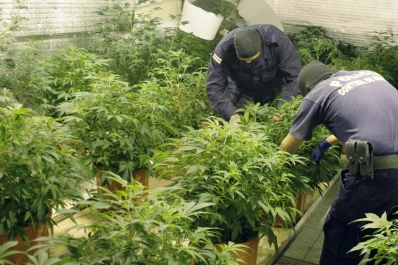 La OEA recomienda despenalizar el consumo de drogas