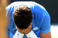 Del Potro se bajó de Roland Garros