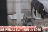 Entró a robar y lo atacaron dos pitbull