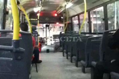 Cómo funcionarán los servicios en el feriado