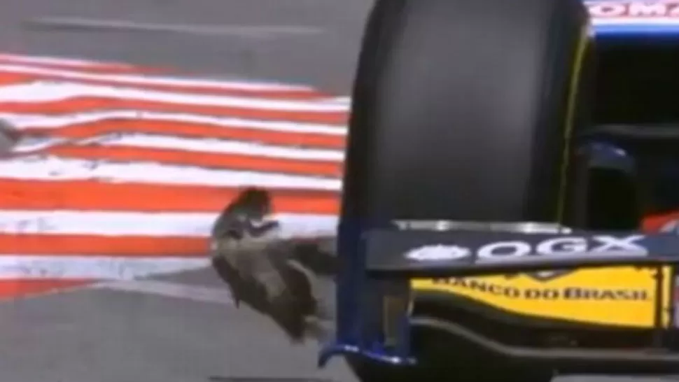 MILAGRO. El piloto que pertenece al equipo Carlin estuvo a segundos de atropellar a la paloma. CAPTURA DE VIDEO