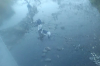 Un motociclista cayó al río tras ser chocado por un auto