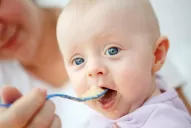 Recién desde los seis meses  necesitan algo más que teta