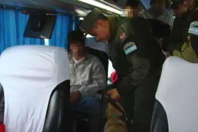 Chaco: hallaron dos kilos de cocaína en un colectivo procedente de Tucumán