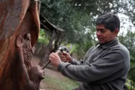 Un paisano de buena madera, con oficios múltiples, que es artesano de la naturaleza