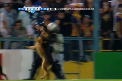 Un perro policía cabeceó una pelota y fue ovacionado por la hinchada de Central