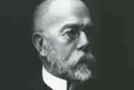 ¿Quién era Julius Richard Petri?