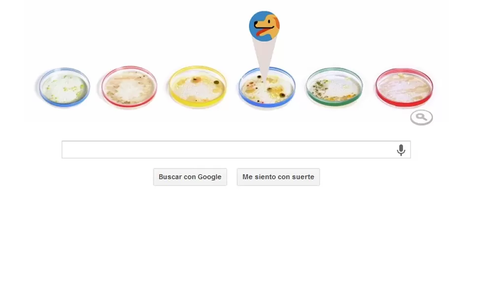 MICRO DOODLE. Google recordó al inventor de las placas Petri. CAPTURA DE PANTALLA/ GOOGLE.COM.AR