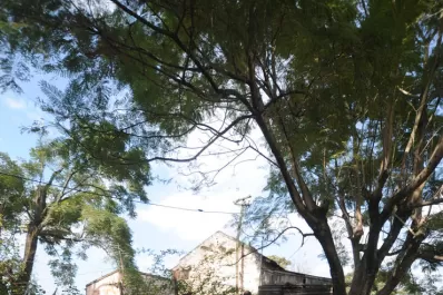 Abal Medina insiste en que se reparó el ramal a Concepción