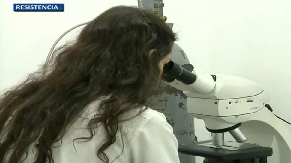 EN RESISTENCIA. El laboratorio de Chaco es parte del proyecto Red Federal de Laboratorios de lnvestigacion Forense. CAPTURA DE VIDEO