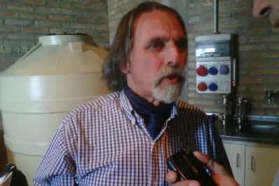 Hay que mejorar los viñedos y terminar las bodegas