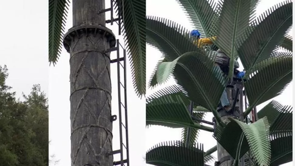 CAMUFLAJE. Una estructura de metal disimula que el poste es una antena telefónica. FOTO TOMADA DE ELTRIBUNO.INFO