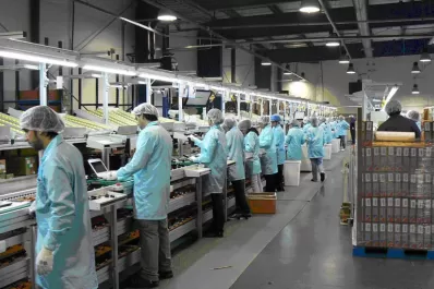 La actividad industrial creció 5% en mayo