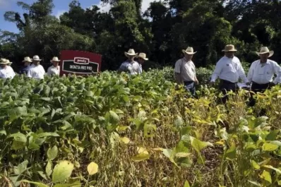 Habrá que aprender a manejar esta nueva tecnología