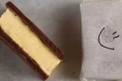 Inventaron un alfajor helado de fernet