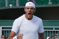 Del Potro vapuleó a Grega Zemlja y pasó a octavos