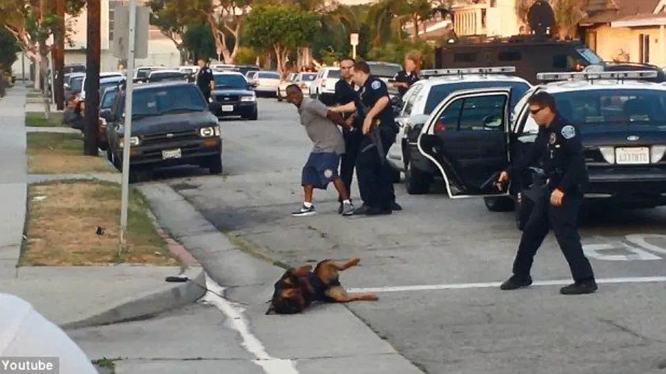 BRUTALIDAD POLICÍACA. El perro quedó retorciéndose en el pavimento luego del disparo. FOTO TOMADA DE 26NOTICIAS.COM