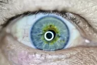 Crean lentes de contacto capaces de hacer zoom