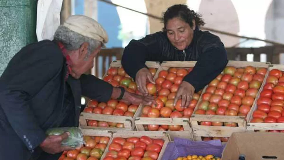 PLATO TIPICO. El tomate es uno de los ingredientes del sánguche de milanesa, un clásico de la gastronomía tucumana. ARCHIVO LA GACETA / ANTONIO FERRONI