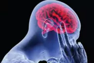 Sueño y pérdida de memoria son síntomas de estrés crónico