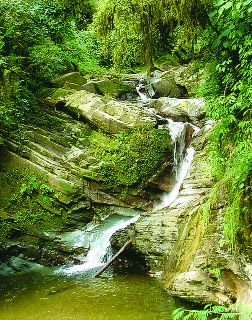ESPECTACULAR. En medio de la selva, como salida de una postal, aparece la cascada del río Noque. 