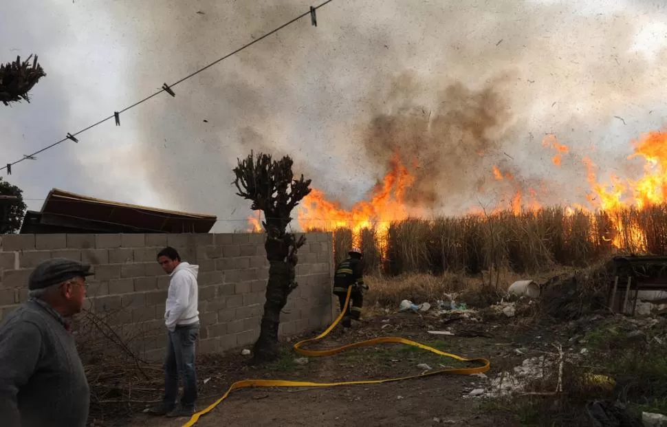 EN ARCADIA. El fuego se extiende en un cañaveral, cerca de las viviendas de la localidad del sur provincial. LA GACETA / FOTO DE OSVALDO RIPOLL