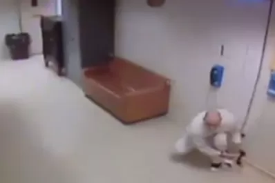 Se fugó de la cárcel de la forma más insólita y continúa prófugo