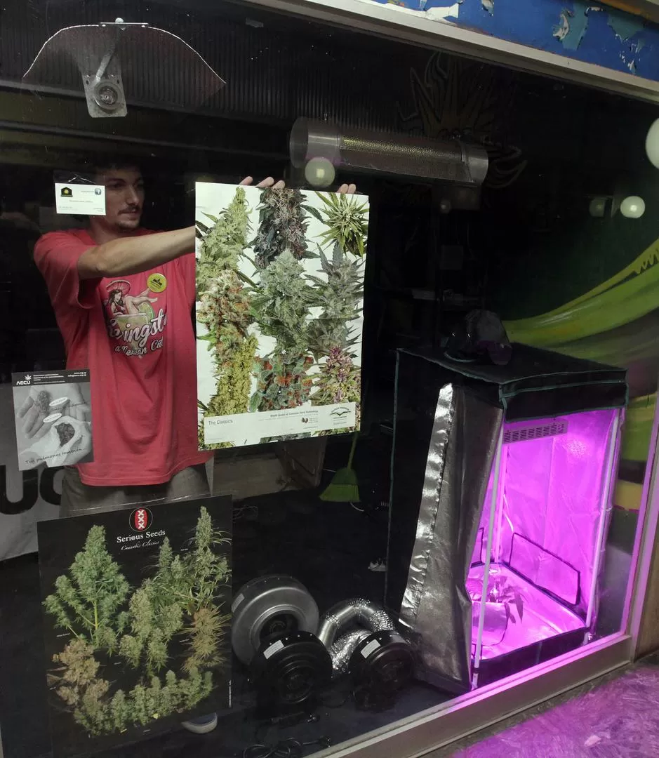 AVISO. En una tienda cuelgan un poster de plantas de marihuana. REUTERS