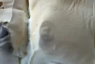 Amasó pan y se encontró con la imagen de San Cayetano