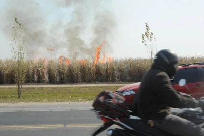 En definitiva, la quema no beneficia a nadie