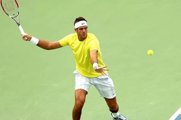 Del Potro busca el pase a semifinales en Washington