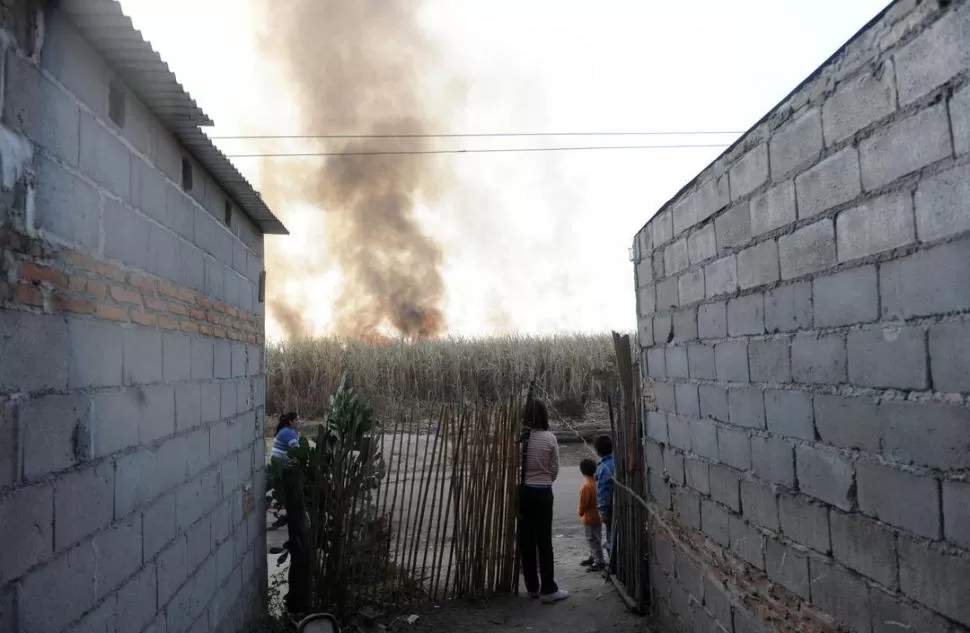 UNA POSTAL HABITUAL EN EL INTERIOR. Los vecinos de un barrio de la localidad de Arcadia observan el fuego que se ha generado en un cañaveral.  LA GACETA / FOTO OSVALDO RIPOLL