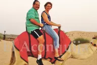 Los riesgos de montar un camello en Dubai
