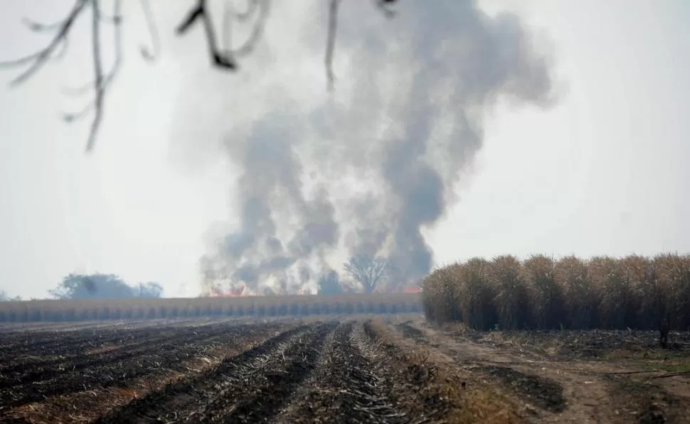 DENSAS COLUMNAS DE HUMO. Ayer siguieron las quemas de los cañaverales, aunque en menor medida. LA GACETA / FOTO DE OSVALDO RIPOLL