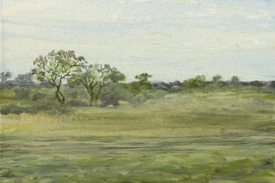 Paisajes de salinas calurosas y de la gran ciudad confluyen en el Virla