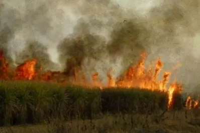 El incendio de un cañaveral generó alarma en el barrio Lomas de Tafí
