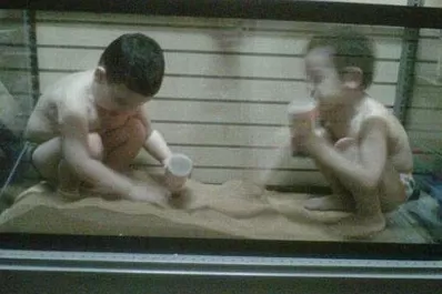 Una serpiente pitón estranguló dos niños en Canadá