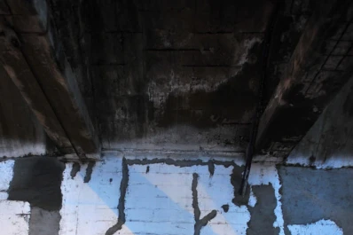 El dolor de no tener