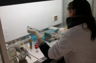 Fortalecen la formación y el intercambio de estudiantes