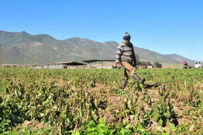 El frío dejó un escenario difícil de cambiar