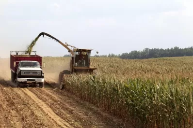 China podría ser el destino de los excedentes de maíz argentino