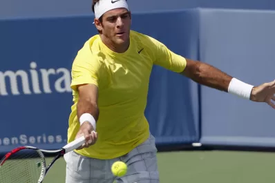 Delpo no pudo ni con su físico ni con Isner en Cincinnati