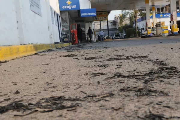Una nube de cenizas de quema de cañaverales cubre a la provincia