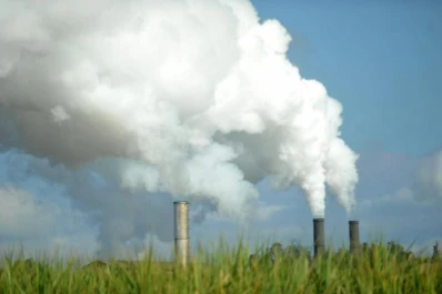 Los amargos efectos de la crisis azucarera economía regional