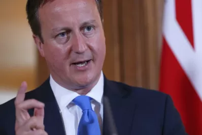 Alicia Castro tildó a Cameron de bobo e irrespetuoso